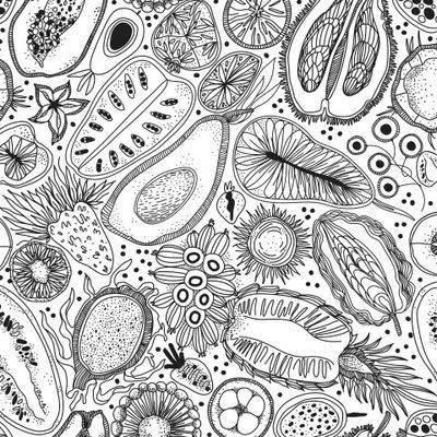 Экзотические и тропические фрукты дудлы графика