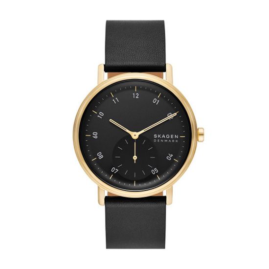 Мужские часы Skagen SKW6896
