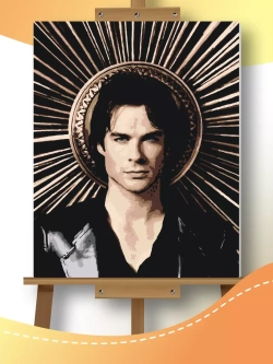 Картина по номерам Деймон