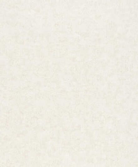 Otaru / Kumano / Surface