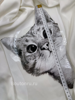 Термонаклейка серый кот