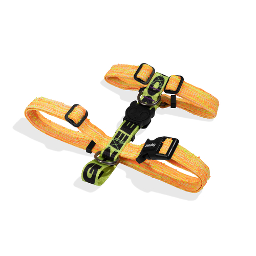 Шлейка BIKR Zee.Dog