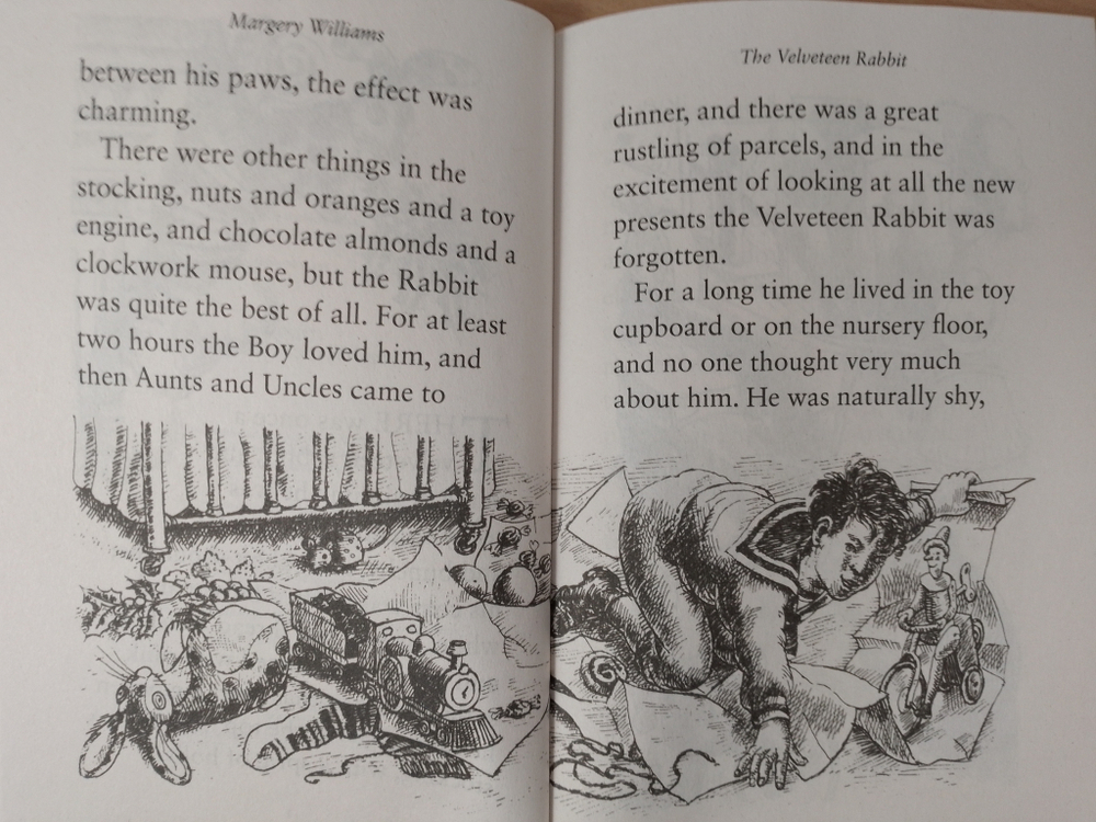 The Velveteen Rabbit (A Puffin Book)