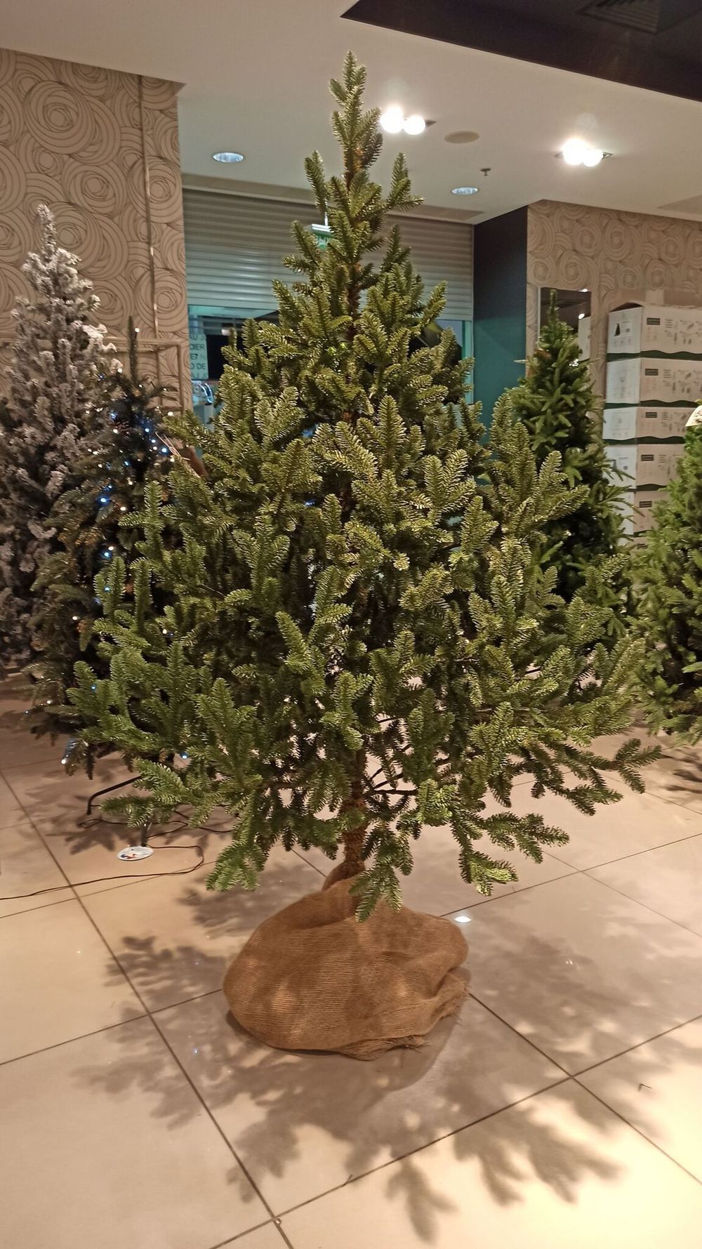 Искусственная ель на ножке «Датская» (хвоя Литая) 240 см / 2.4 м