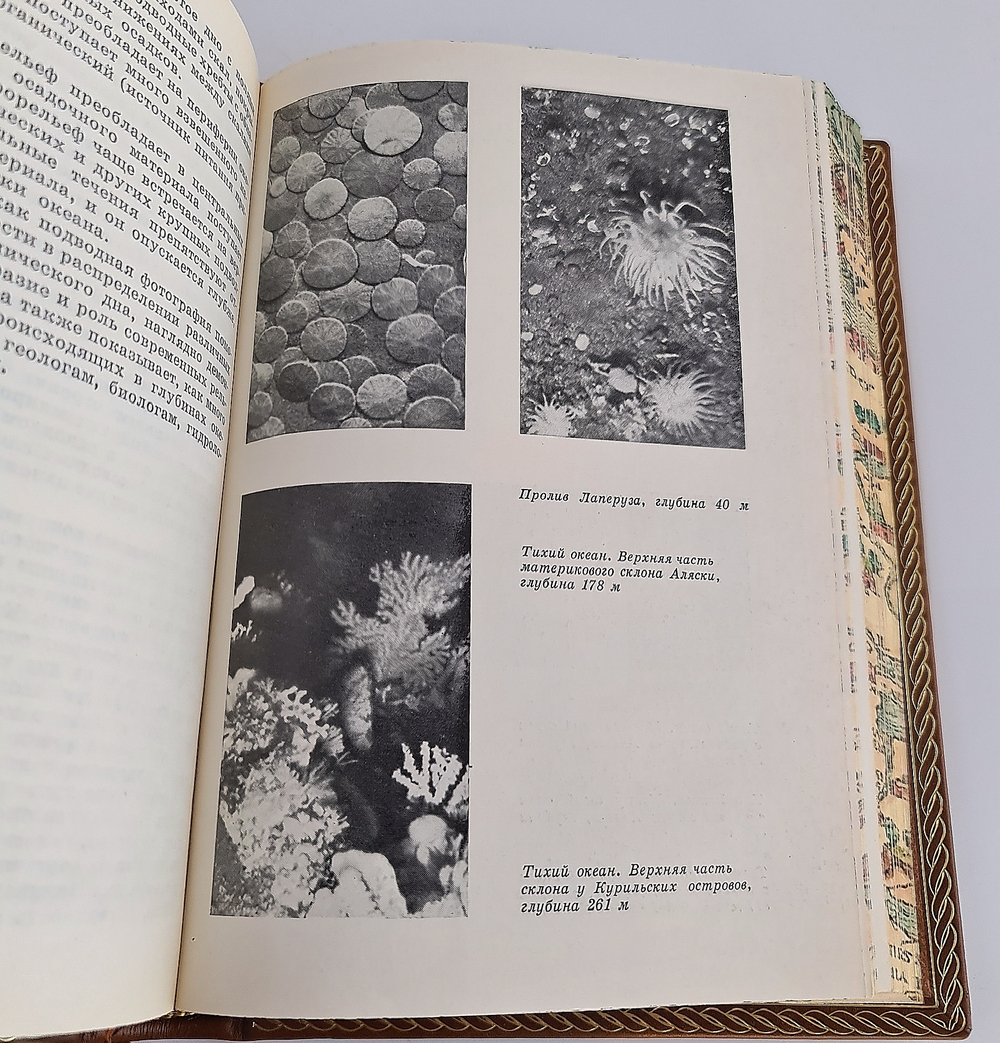 "За тайнами нептуна". А.А. Аксенов - подарочное издание