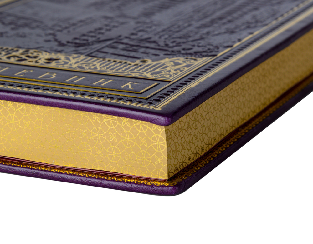 Новый город. Ежедневник в кожаном переплете