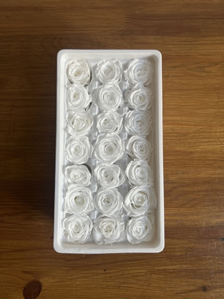 Роза классическая белая d=2-3 см (упак 21 шт)