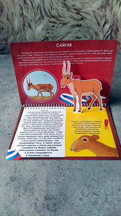 3D-Альбом "Красная книга животных России"