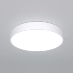 Потолочный светильник Eurosvet ENTIRE a063078 4690389194276