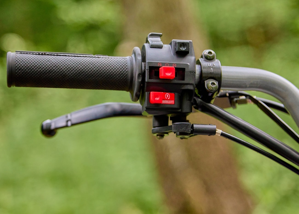 Квадроцикл SHARMAX Raizer Race Cup 250