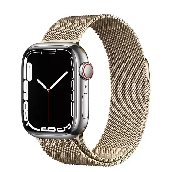 Apple Watch Series 7 (GPS + Cellular) Silver Stainless Steel Case with Gold Milanese Loop 45mm