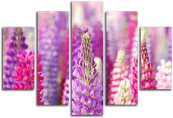 Модульная картина "Сказочные цветы"