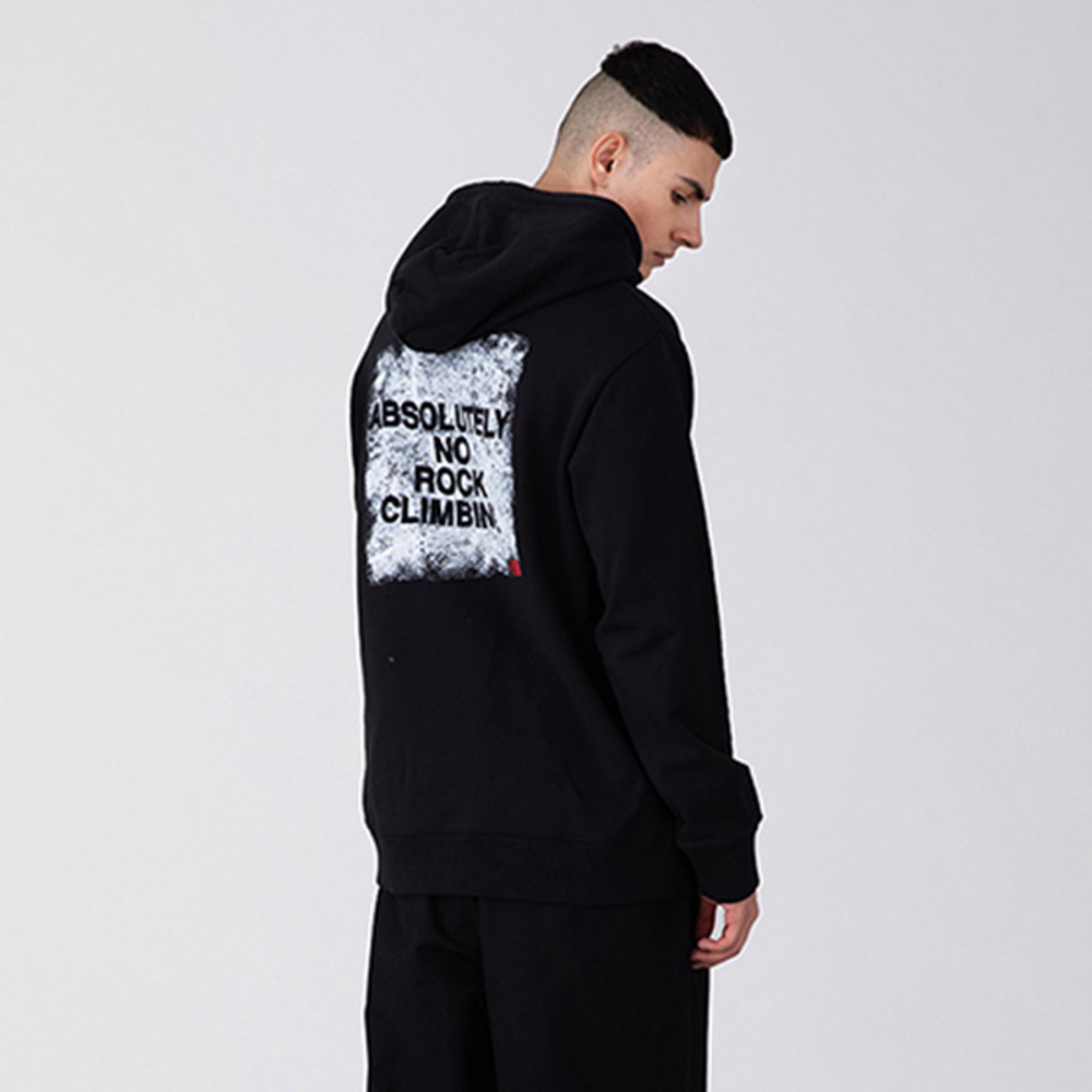 Худи THE NORTH FACE UE Logo, NF0A5JUO-JK3