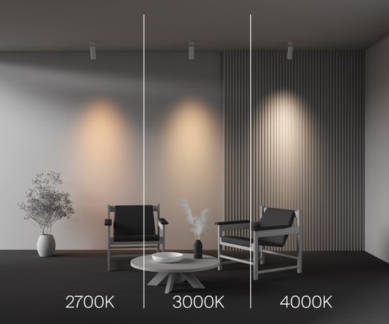 Потолочный светильник Technical C055CL-L20W2.7-3-4K-M-W