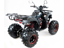 Квадроцикл MOTAX ATV Grizlik 8 1+1 125 cc