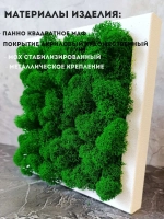 Панно из мха набор 3 шт.
