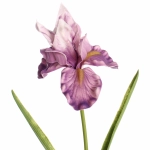 Цветок искусственный «Natur» 60см Ирис сиреневый