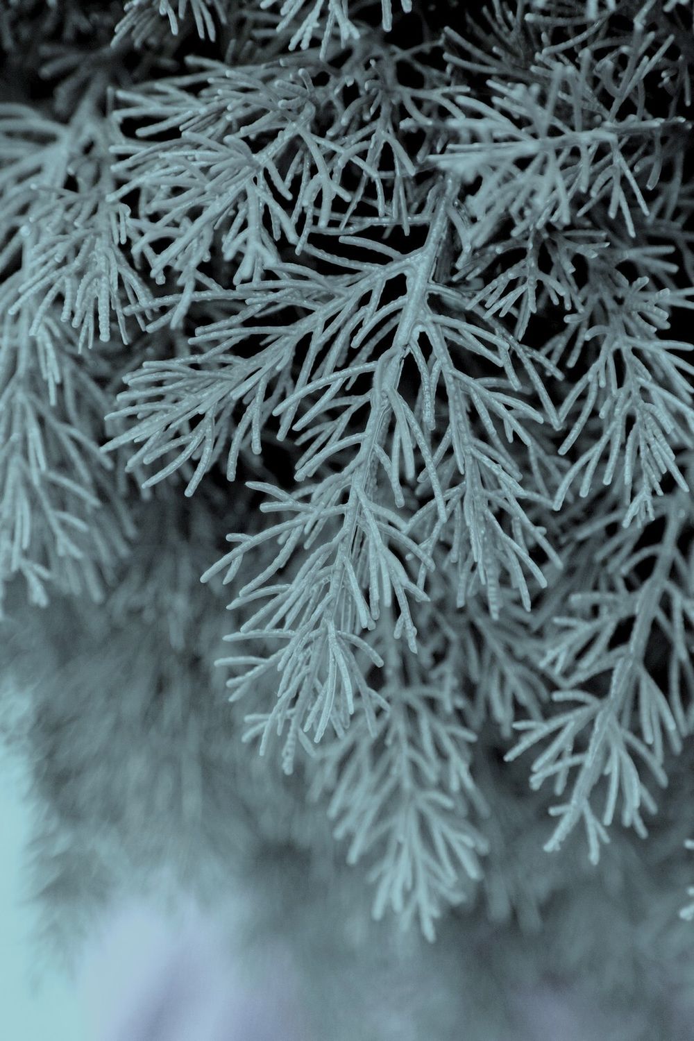 Голубая Туя-шар искусственная (Литая хвоя) 40 см \ 70 см