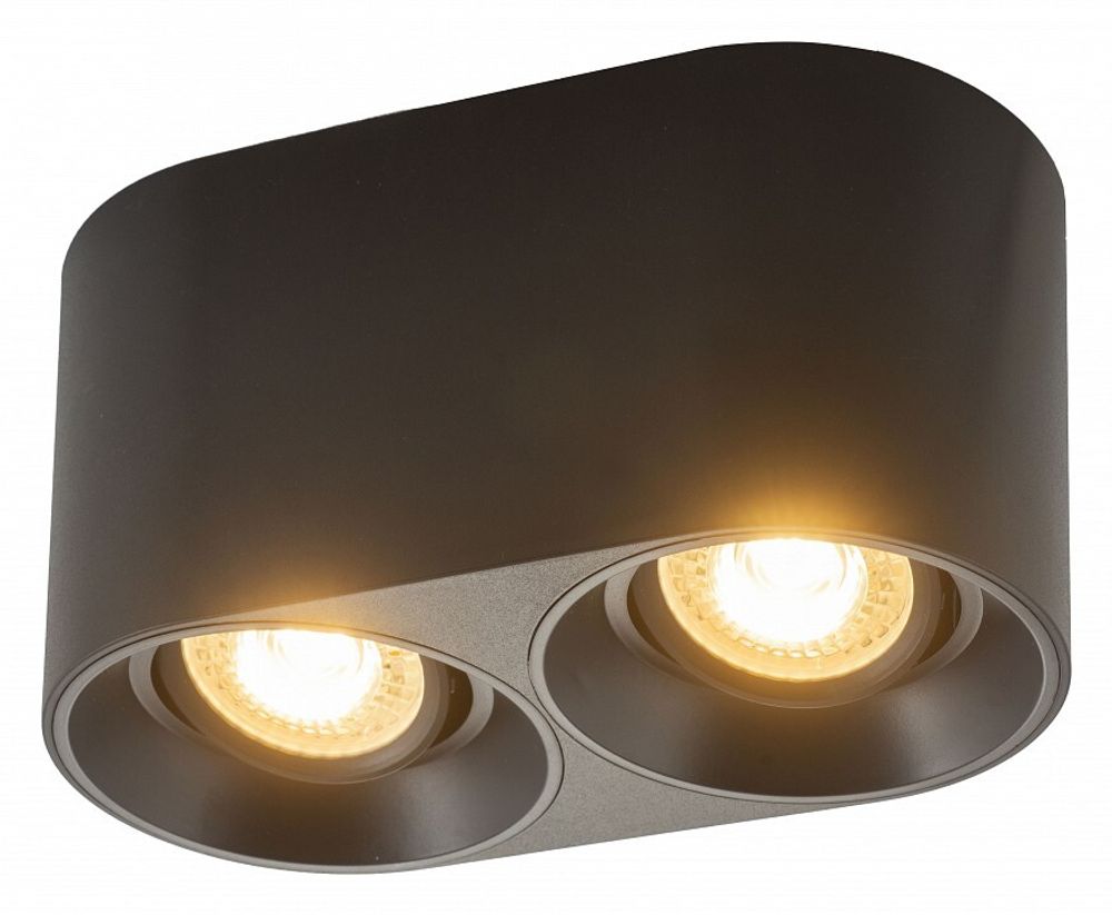 Накладной светильник Denkirs DK3040 DK3036-BK