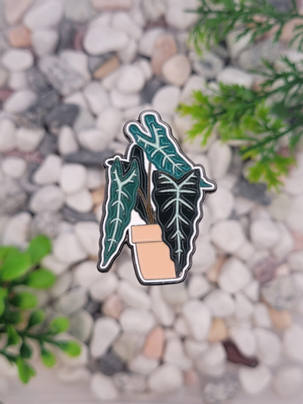 Значок Алоказия