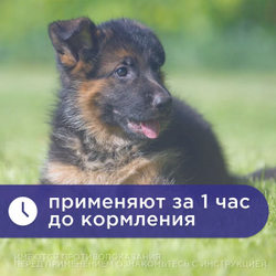 Капли успокаивающие АВЗ Фитэкс для собак, 50 мл