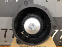 Динамик низкого тона Chery Exeed Новый Оригинал 703000407AA