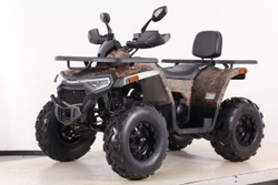Квадроцикл SHARK III 250