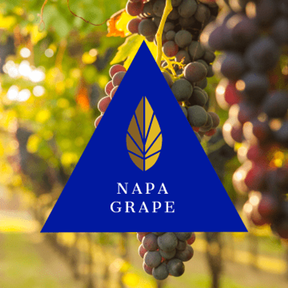 Azure Black Line - Napa Grape (100g)
