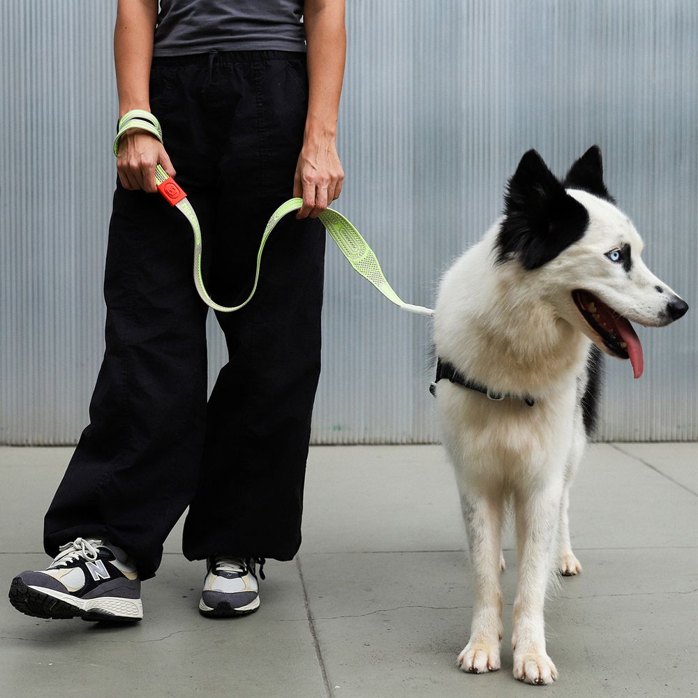 Ультра-легкий поводок Nit GLUTEN 100 см Zee.Dog