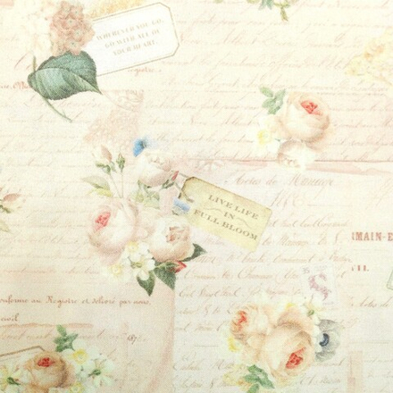 Ткань 100% хлопок Riley Blake 110 см 232/05.21