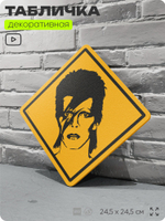 Табличка декоративная "Дэвид Боуи, David Bowie" на дверь и стену, прикольная штука в подарок, декоративный знак, 24,5х24,5 см, пластиковая, Айдентика Технолоджи