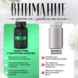 Ежовик гребенчатый, ежевик lions mane мицелий, капсулы 180 шт.