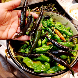 Сладкий Фиолетовый Японский Чили Перец Мурасаки Тогараши Ямато - 紫とうがらし