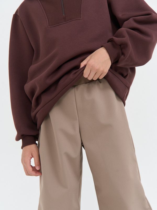 Брюки Softshell демисезонные 