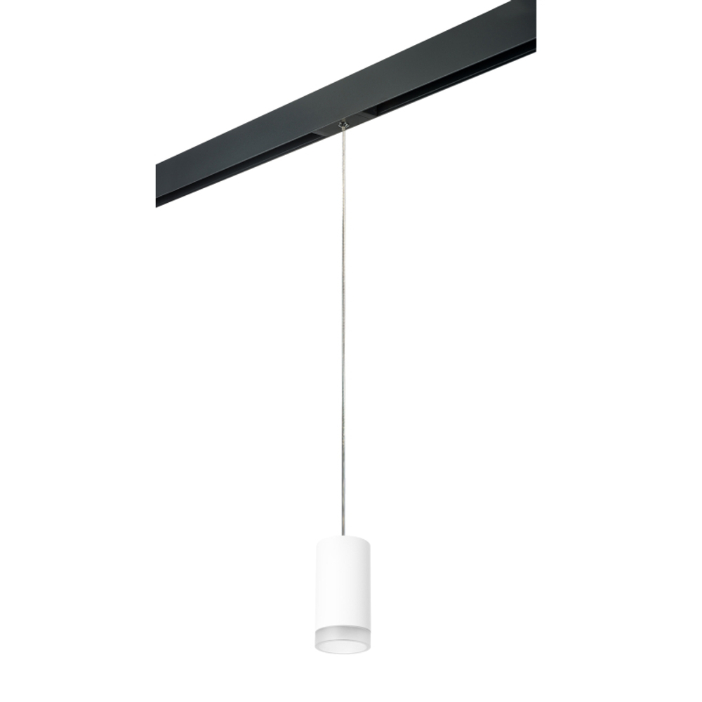 Подвесной светильник Lightstar Rullo PRORP43630