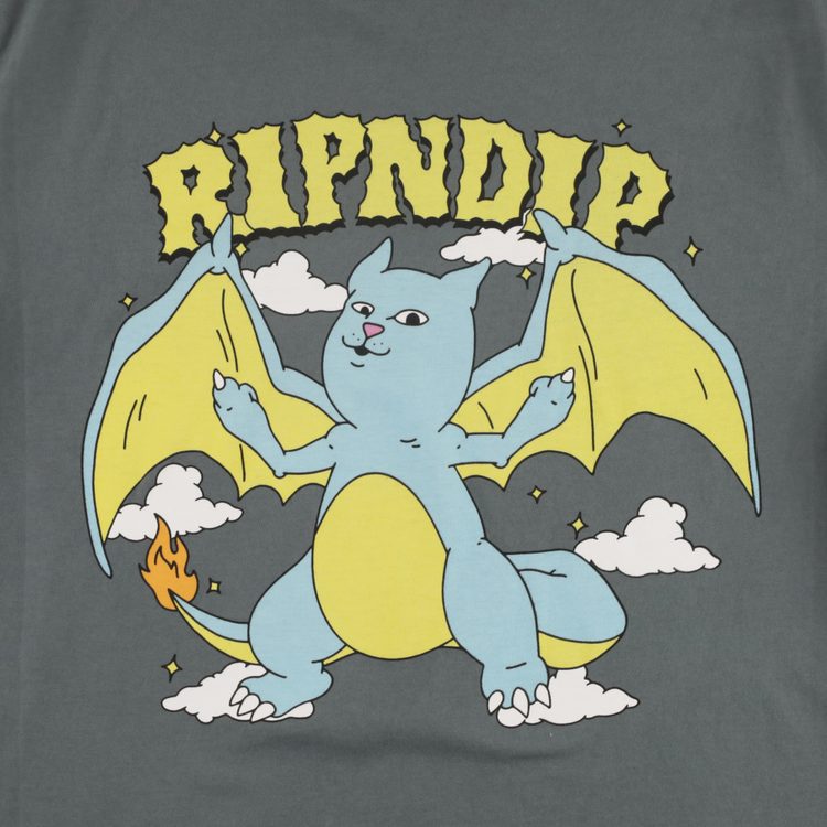 Футболка мужская Ripndip Charanerm артикул:RND9950 - купить в магазине Дайс