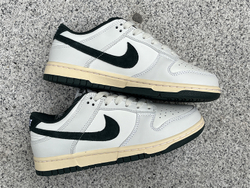 Nike Dunk Low "Athletic Department" FQ8080-133