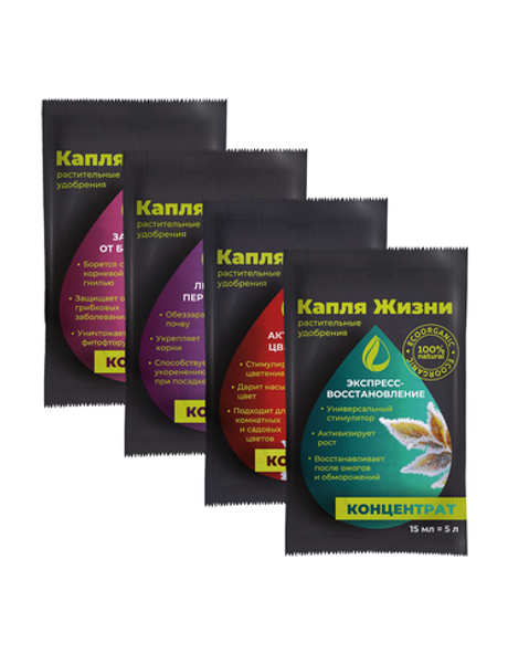 Вечнозеленая хвоя