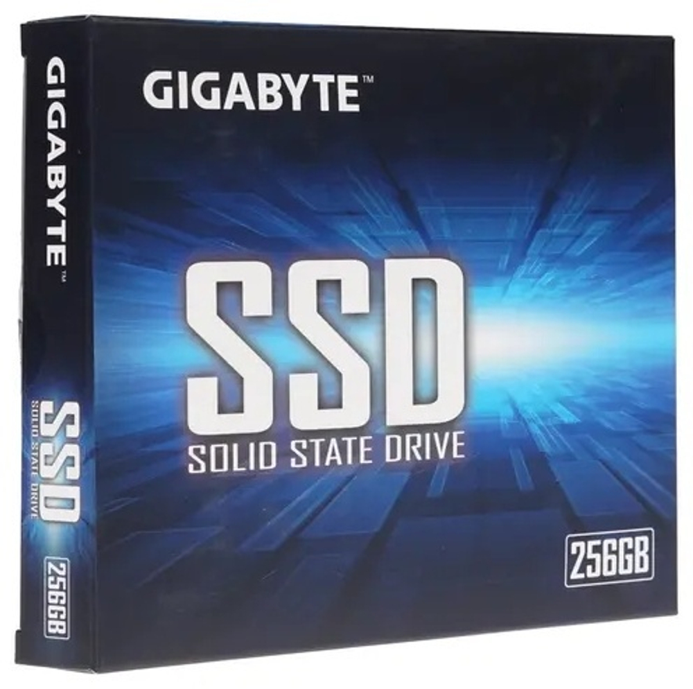 SSD GIGABYTE GP-GSTFS31256GTND 256 ГБ