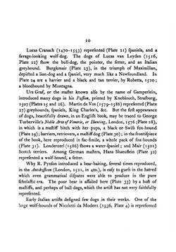 The varieties of dogs, as they are found in old sculptures, pictures, engravings, and books | Philbert Charles Berjeau