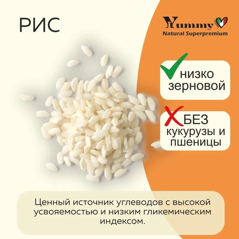 Yummy Linea корм для щенков средних и крупных пород, индейка, 2,5 кг