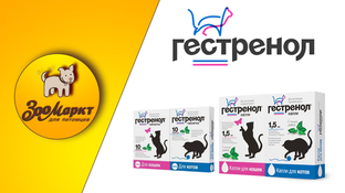 Акция Гестренол