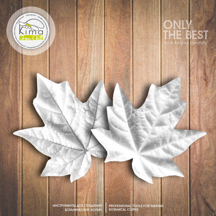 Клен канадский лист средний