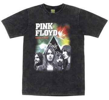 Футболка Pink Floyd Giants of Rock (319)