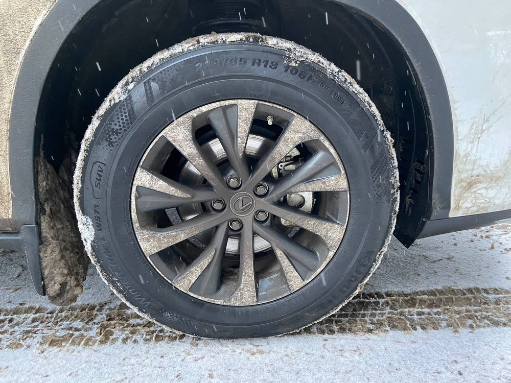 Lexus RX300 Comfort