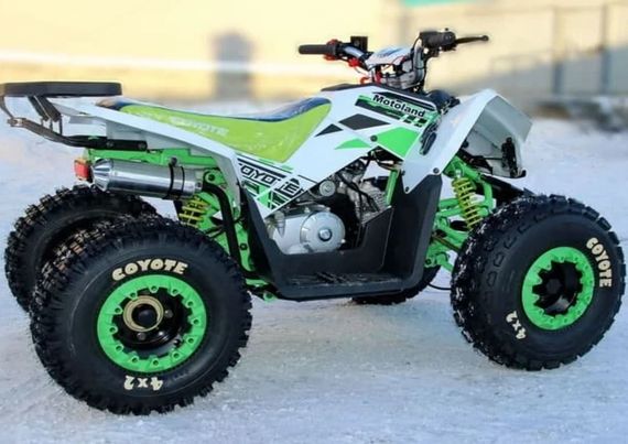 Квадроцикл MOTOLAND 125 Coyote (2021 Г.)