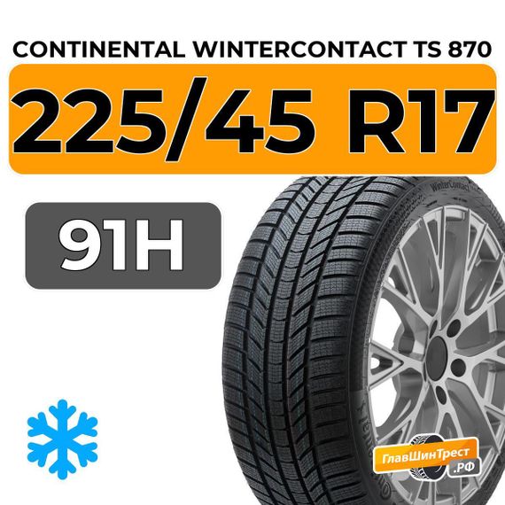 Continental WinterContact TS 870 225/45 R17 91H