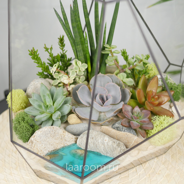 Флорариум с суккулентами Калипсо с озером