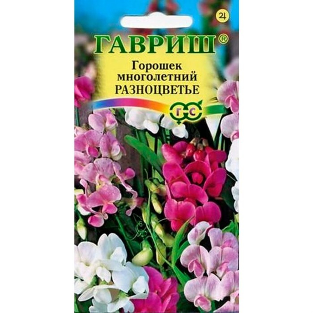 Горошек многолетний Разноцветье смесь