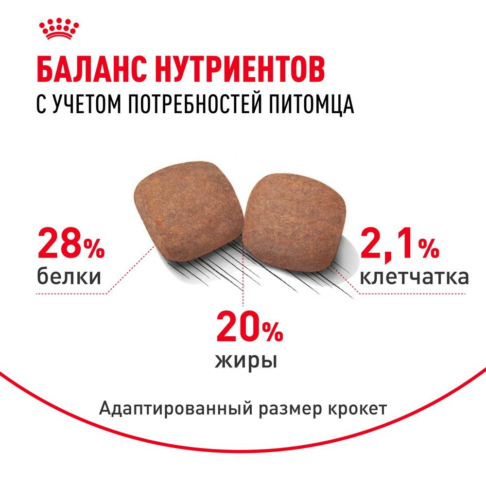 Сухой корм Royal Canin Giant Adult для взрослых собак очень крупных размеров от 18 месяцев Сухой корм Royal Canin Giant Adult для взрослых собак очень крупных размеров от 18 месяцев